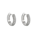 925 silver classic small plain hoop earrings, hip-hop micro-inlaid moissanite earrings, new style hoop earrings for men and women.